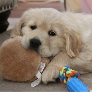 Meet your Posher, Elyssa